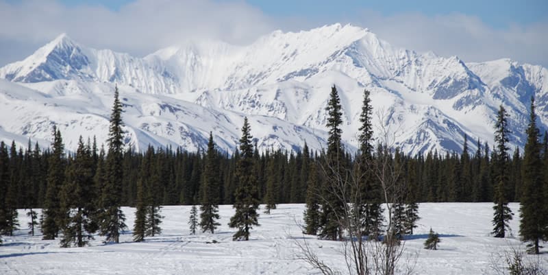 Denali in Winter 20x10
