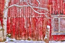 Red-Barn-20x10