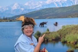 Denali Moose