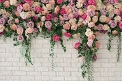 Brick & Roses 10'