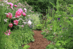 Garden Walk 10'