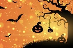 Halloween 8'