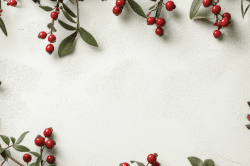 Holly-8
