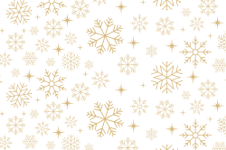 RetroMod Snow 10'