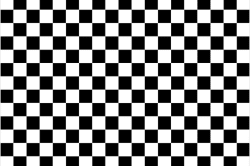 Checker 8'