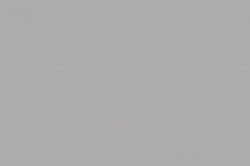 Bone Gray