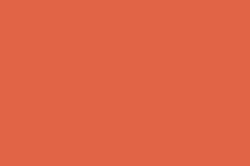 Salmon-8