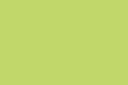 Spruce-Tip-8
