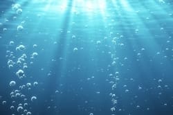 Under The Sea