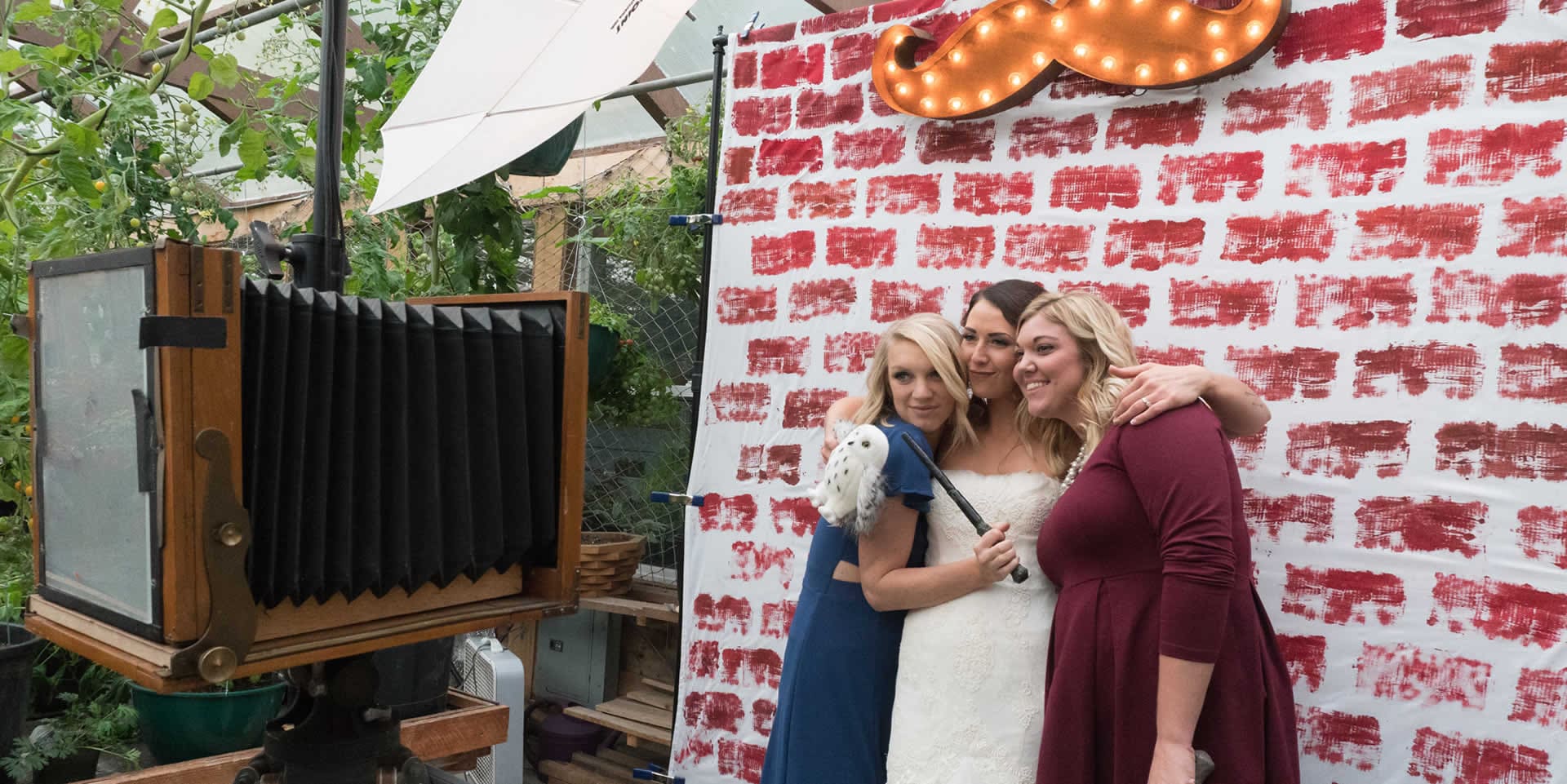Sal Jaclyn Wedding